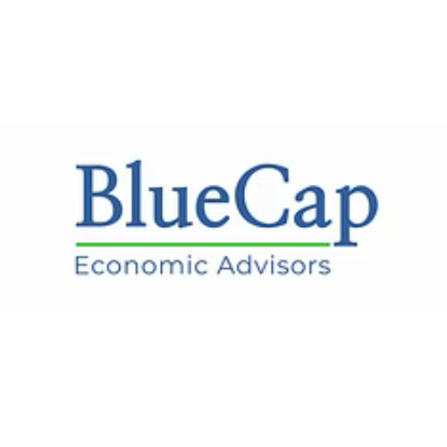 BlueCap Economic Advisors
