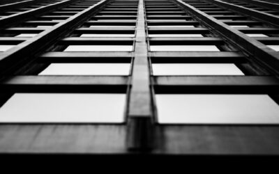 Business Management for Small Business Growth